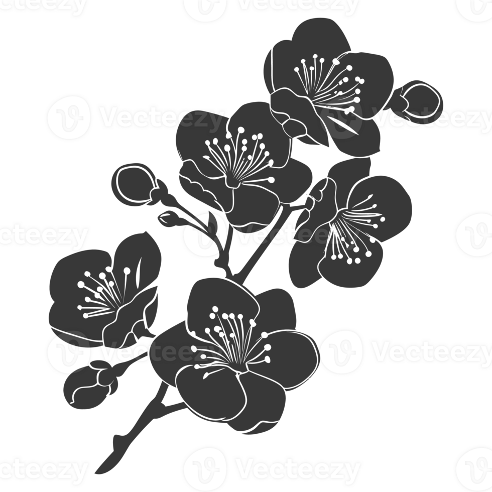 AI generated Silhouette Cherry blossoms or sakura flower black color only png