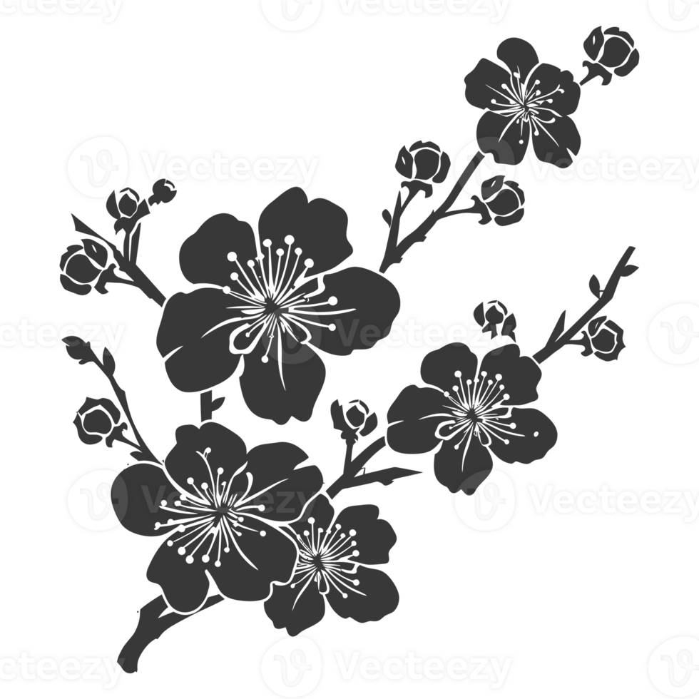 AI generated Silhouette Cherry blossoms or sakura flower black color only png