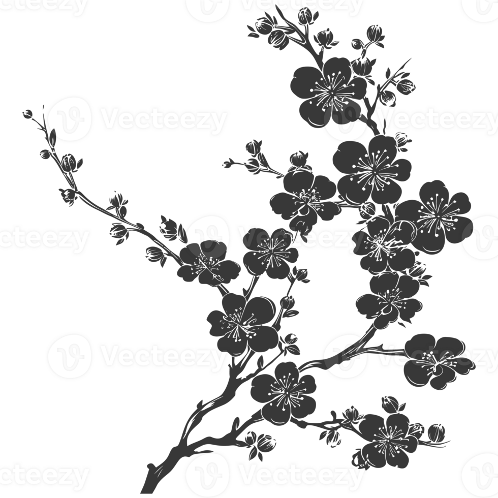 AI generated Silhouette Cherry blossoms or sakura flower black color only png
