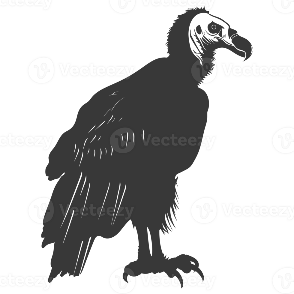 AI generated Silhouette vulture bird animal black color only png