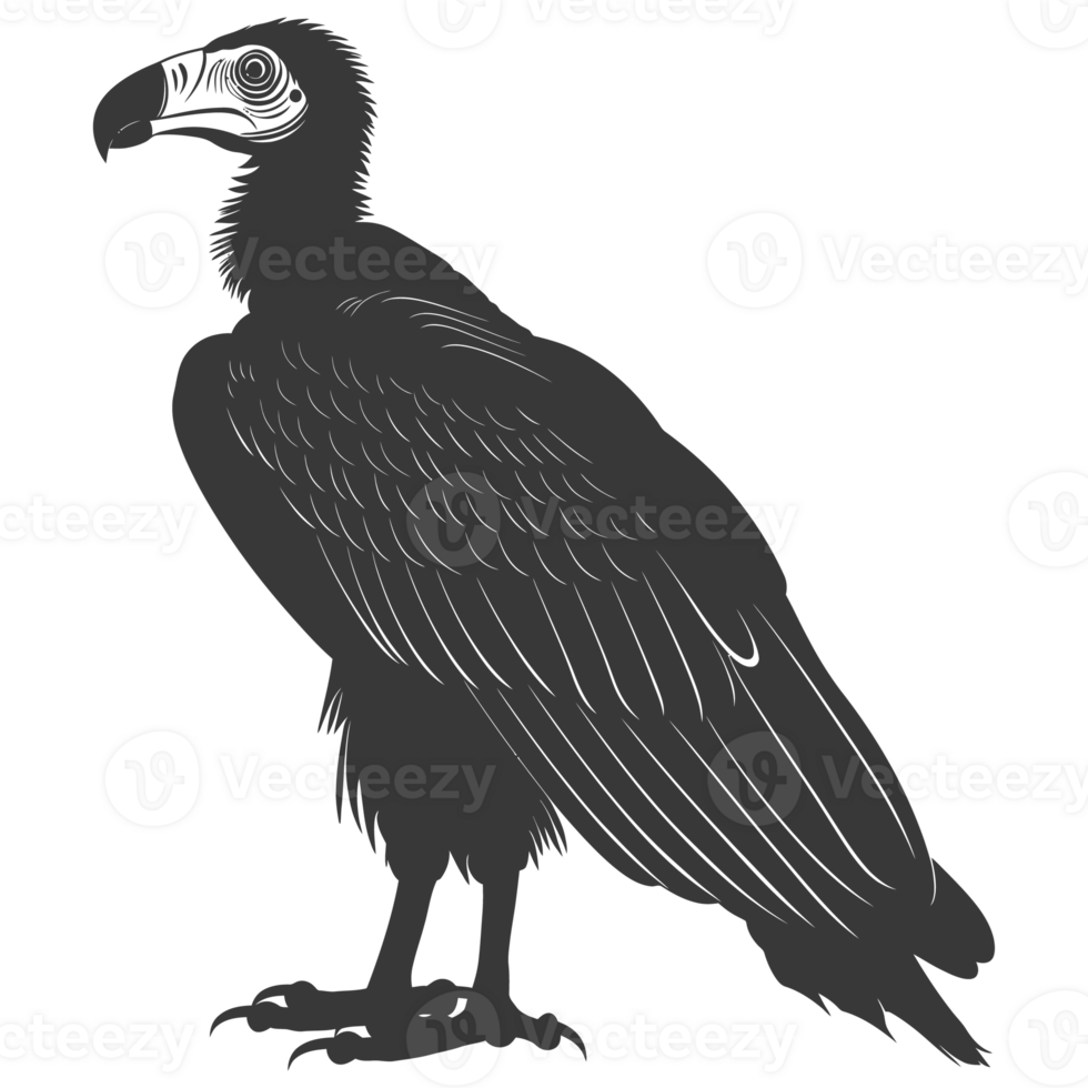 AI generated Silhouette vulture bird animal black color only png