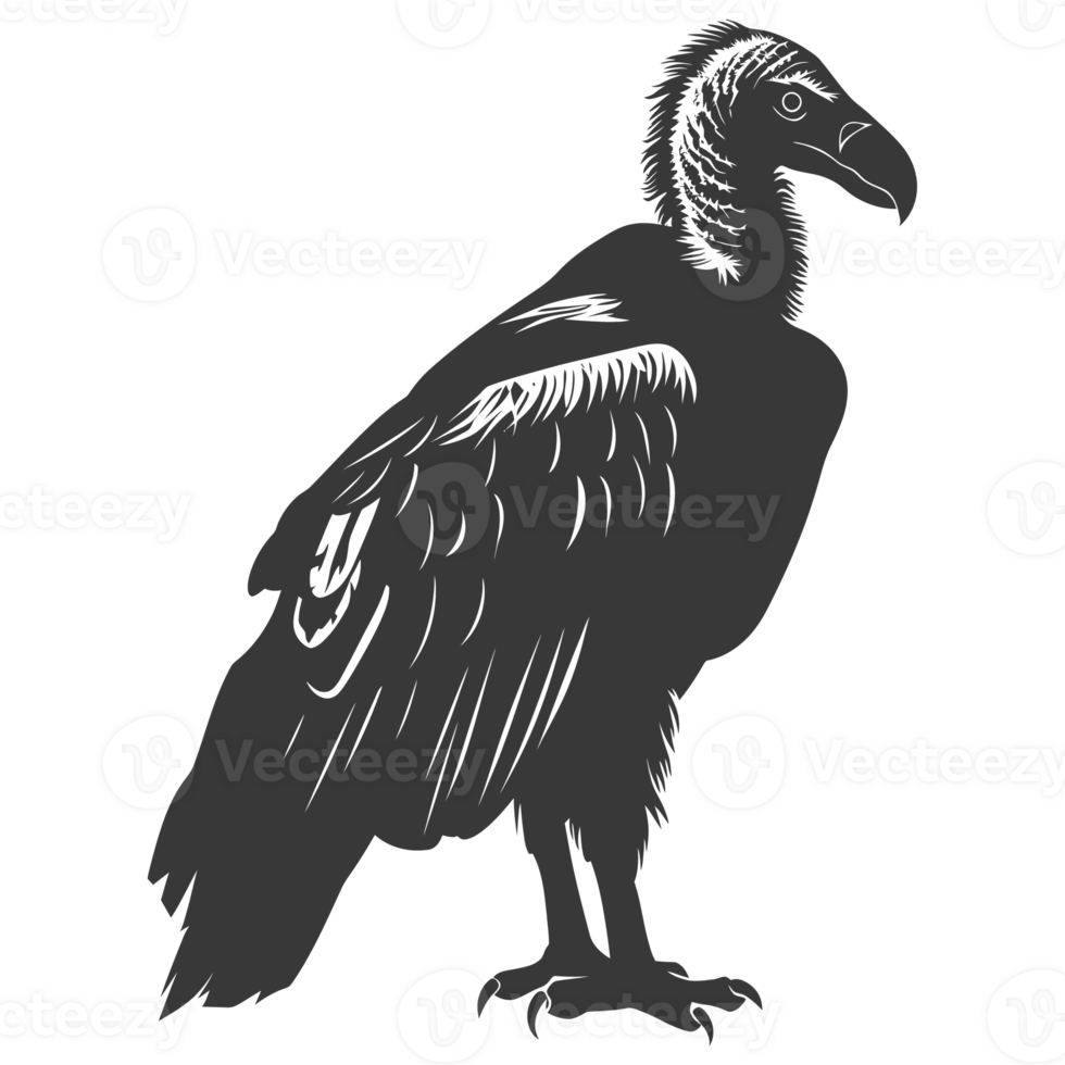 AI generated Silhouette vulture bird animal black color only png