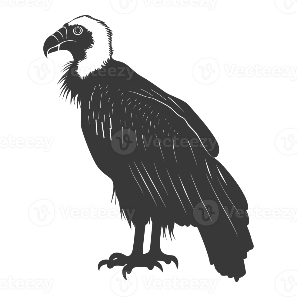 AI generated Silhouette vulture bird animal black color only png
