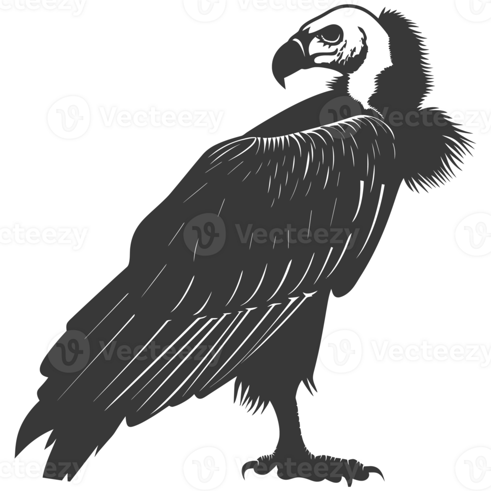 AI generated Silhouette vulture bird animal black color only png