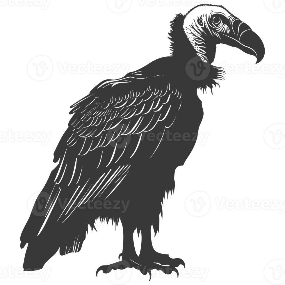 AI generated Silhouette vulture bird animal black color only png
