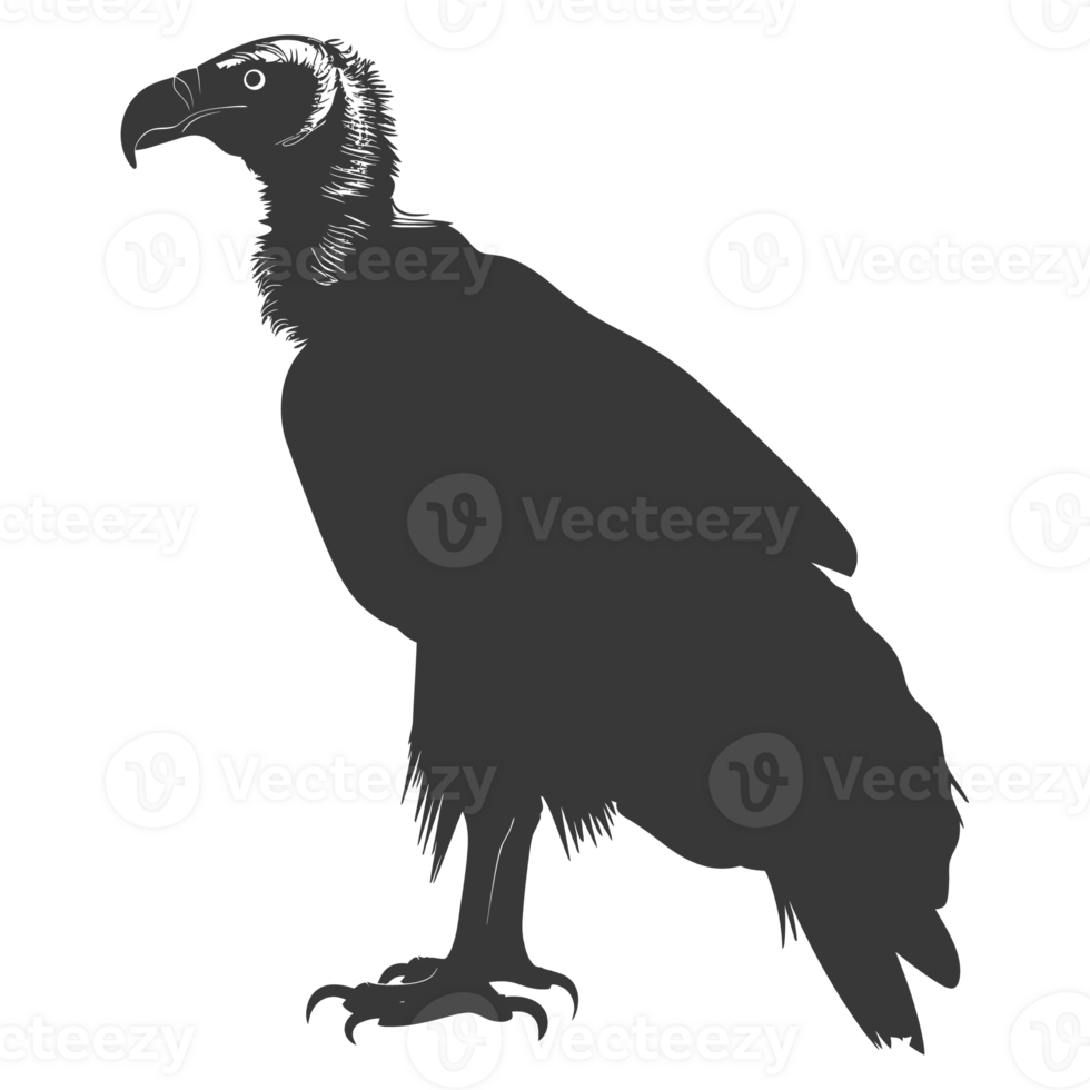 AI generated Silhouette vulture bird animal black color only png