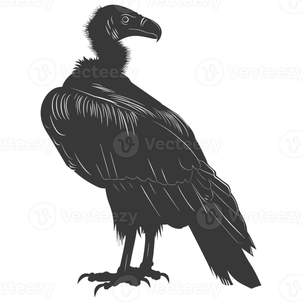 AI generated Silhouette vulture bird animal black color only png