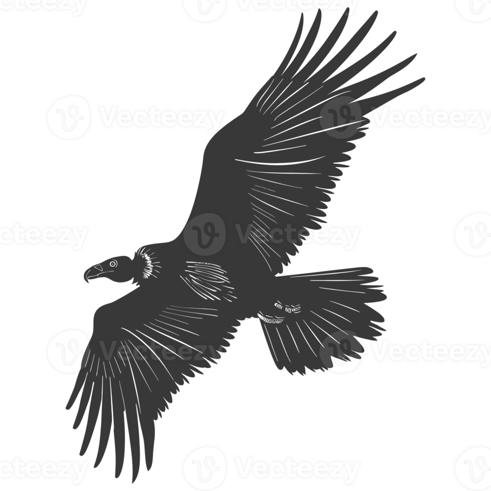 AI generated Silhouette vulture bird animal fly black color only png