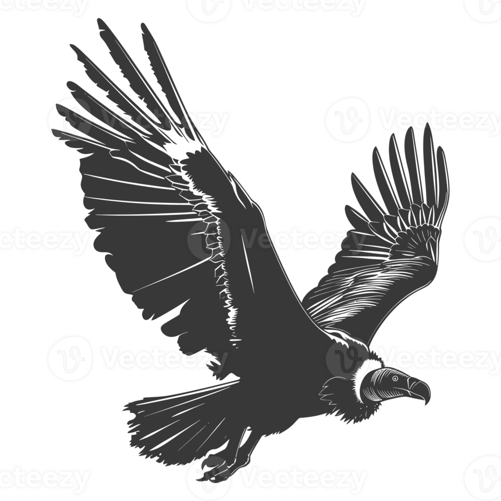 AI generated Silhouette vulture bird animal fly black color only png