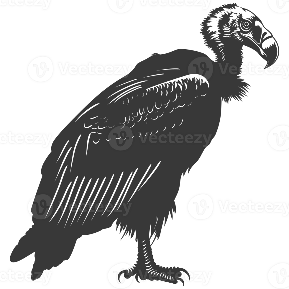 AI generated Silhouette vulture bird animal black color only png