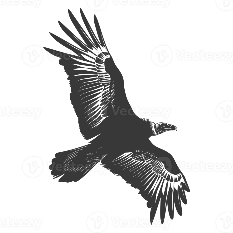 AI generated Silhouette vulture bird animal fly black color only png