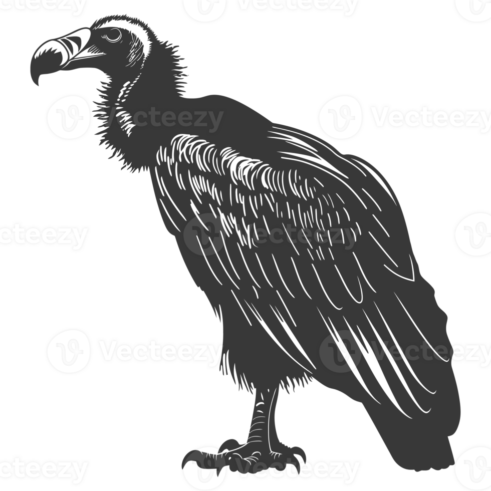 ai généré silhouette vautour oiseau animal noir Couleur seulement png