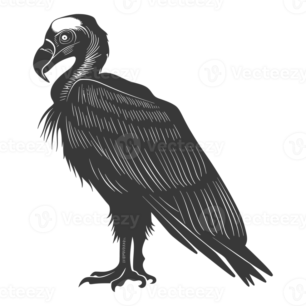 AI generated Silhouette vulture bird animal black color only png