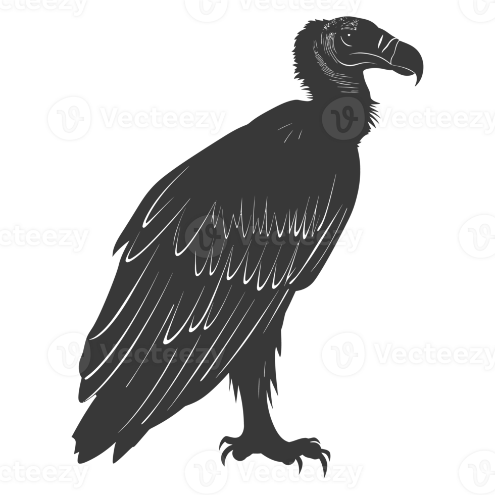 AI generated Silhouette vulture bird animal black color only png