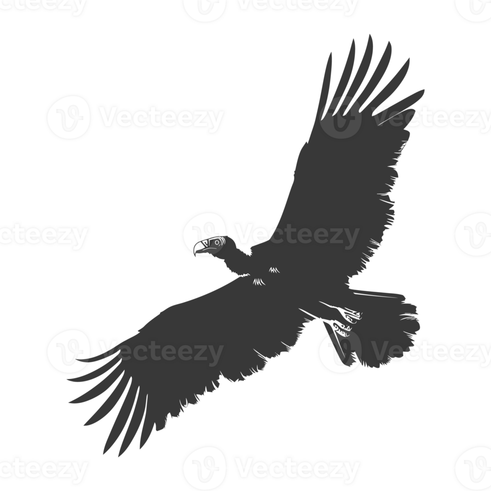 AI generated Silhouette vulture bird animal fly black color only png