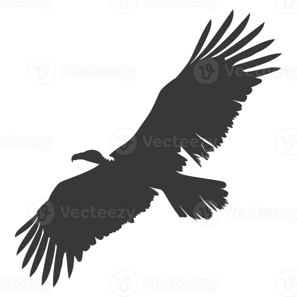 AI generated Silhouette vulture bird animal fly black color only png