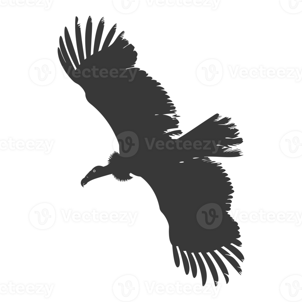 AI generated Silhouette vulture bird animal fly black color only png