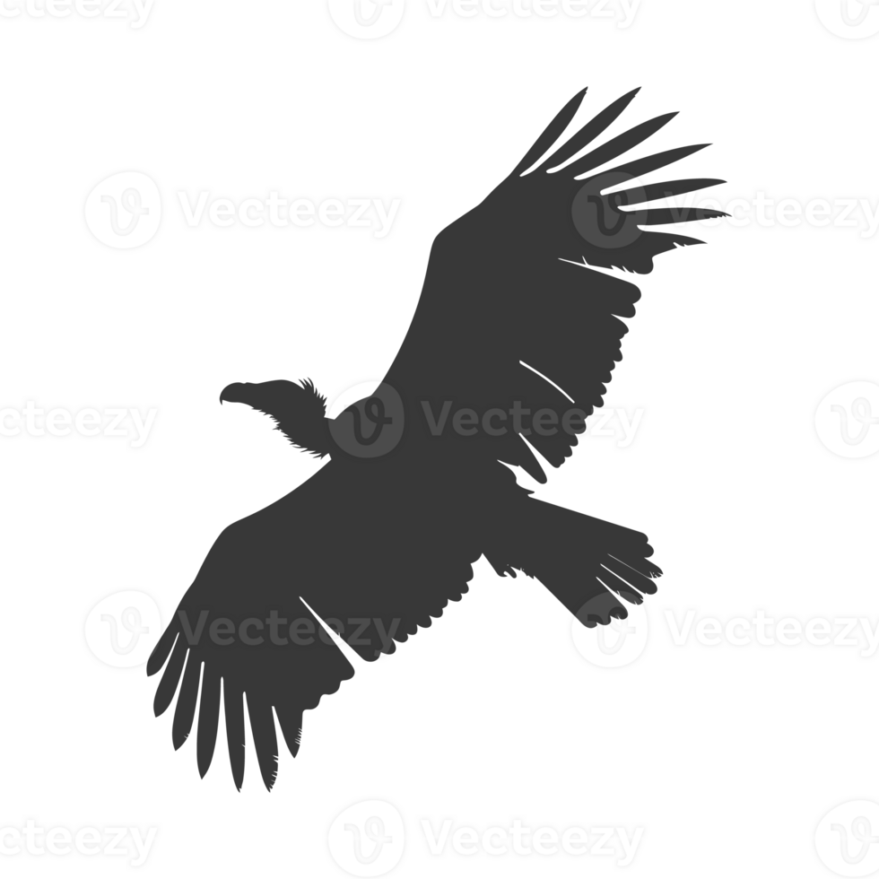 AI generated Silhouette vulture bird animal fly black color only png