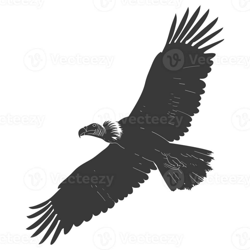 AI generated Silhouette vulture bird animal fly black color only png