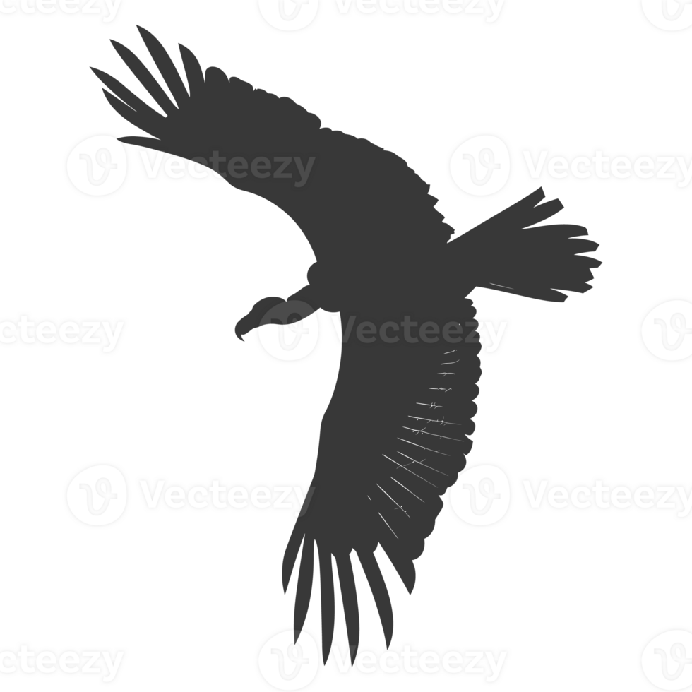 AI generated Silhouette vulture bird animal fly black color only png