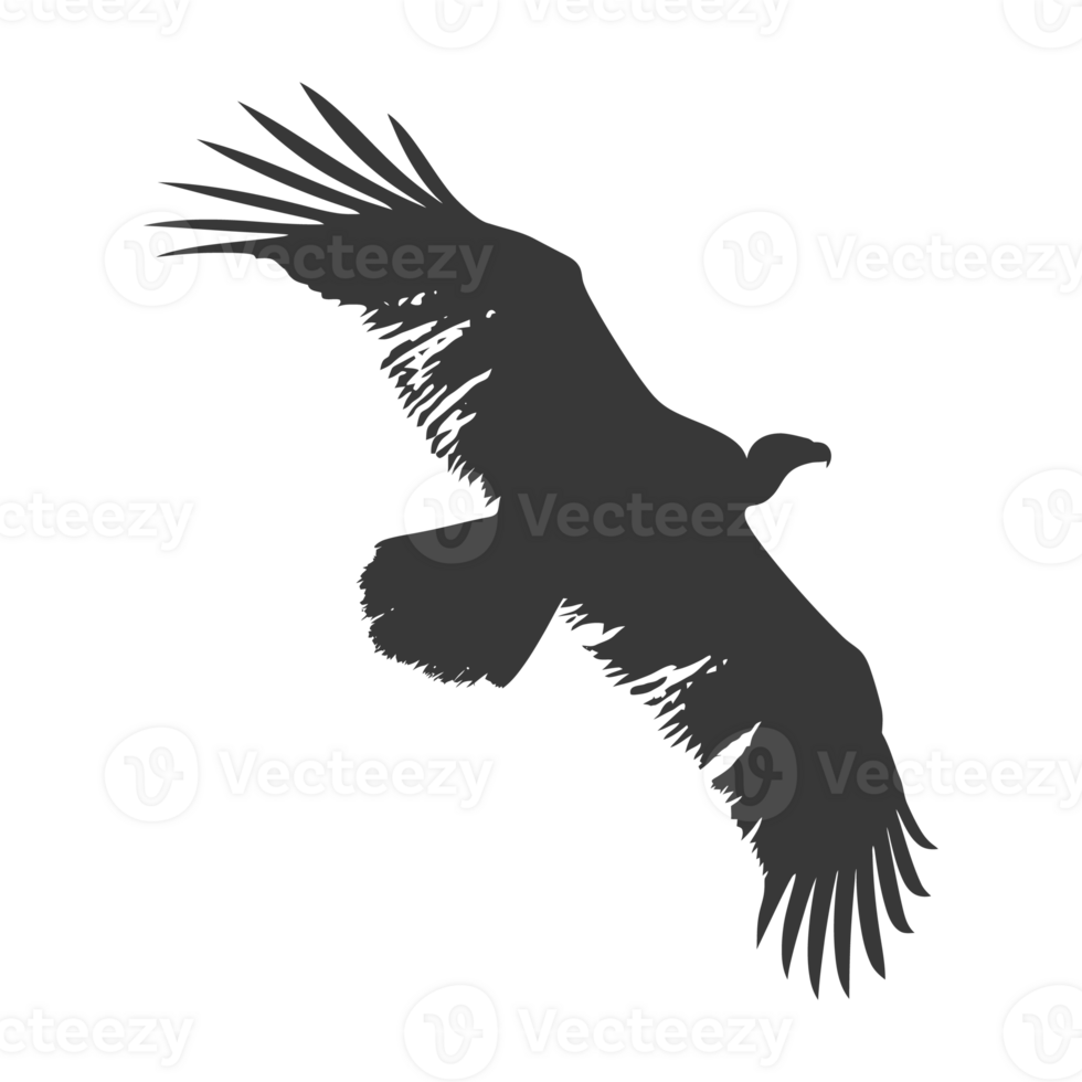 AI generated Silhouette vulture bird animal fly black color only png