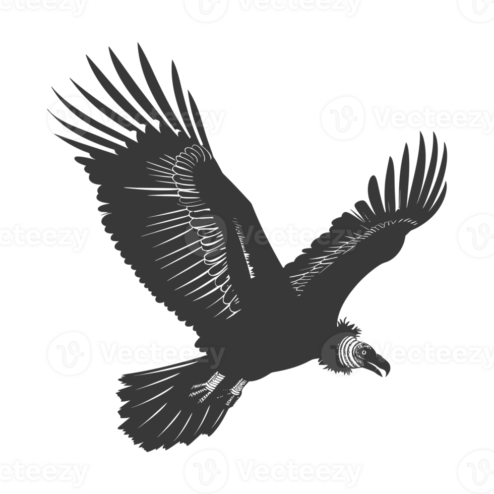ai generado silueta buitre pájaro animal mosca negro color solamente png