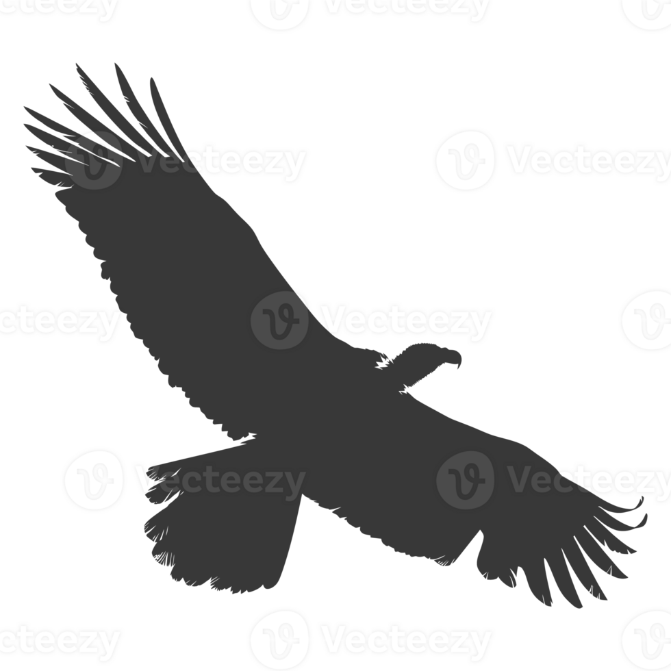 AI generated Silhouette vulture bird animal fly black color only png