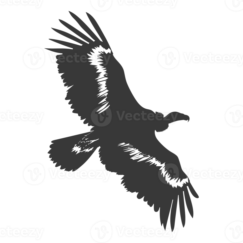 AI generated Silhouette vulture bird animal fly black color only png