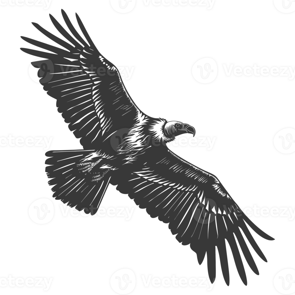 ai gegenereerd silhouet gier vogel dier vlieg zwart kleur enkel en alleen png