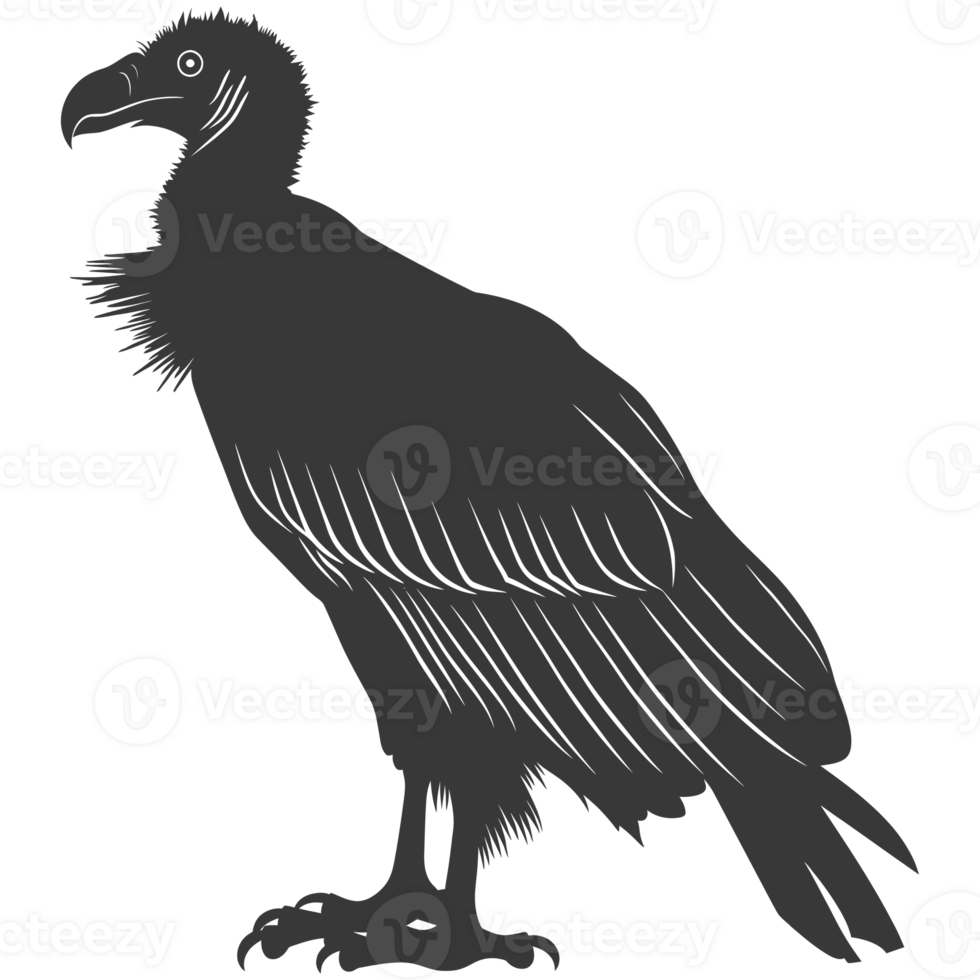 AI generated Silhouette vulture bird animal black color only png