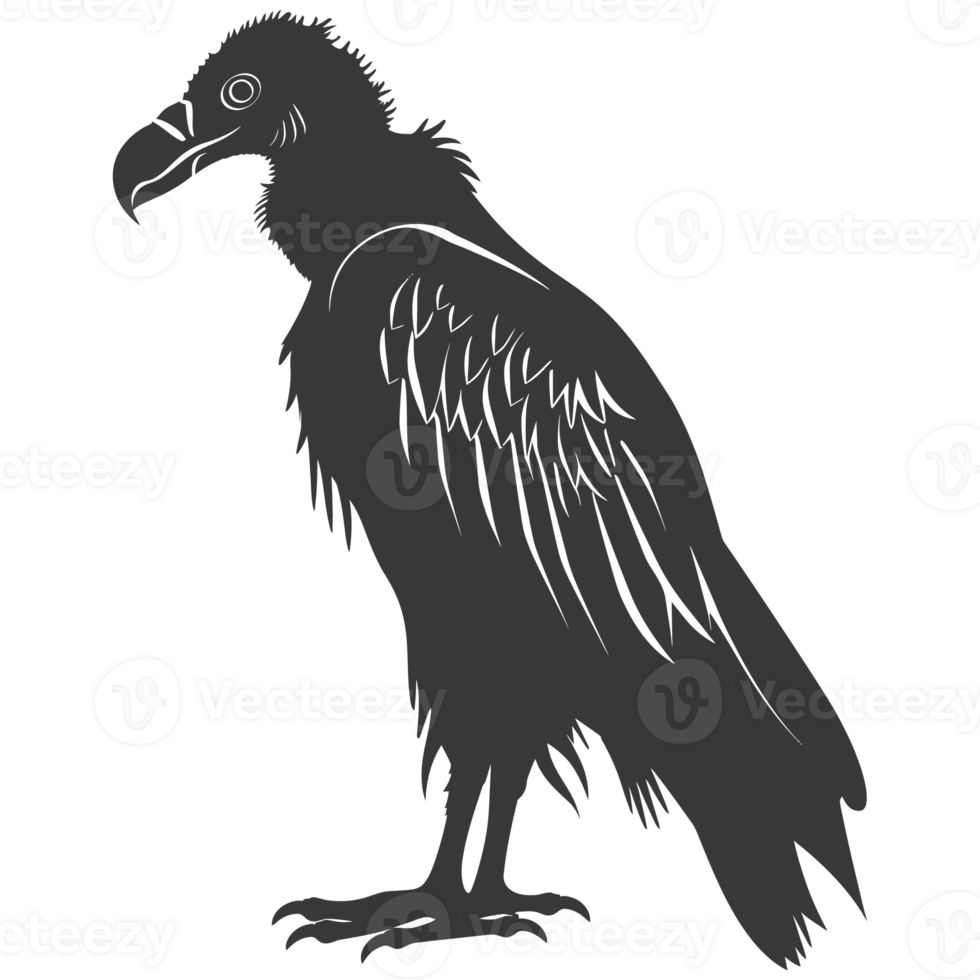AI generated Silhouette vulture bird animal black color only png