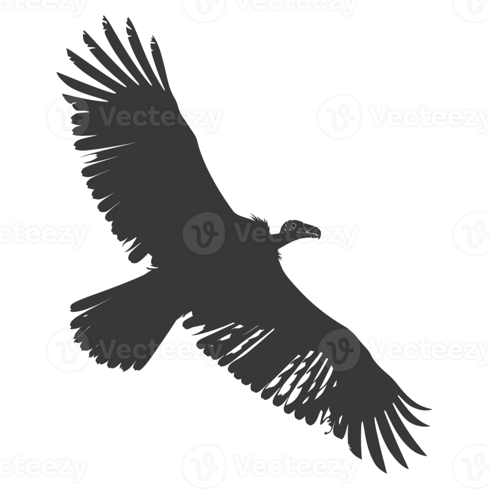 AI generated Silhouette vulture bird animal fly black color only png