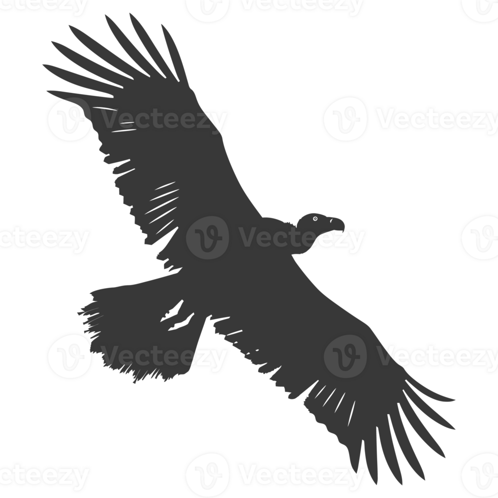 AI generated Silhouette vulture bird animal fly black color only png