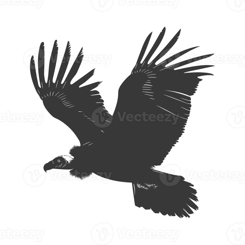 AI generated Silhouette vulture bird animal fly black color only png