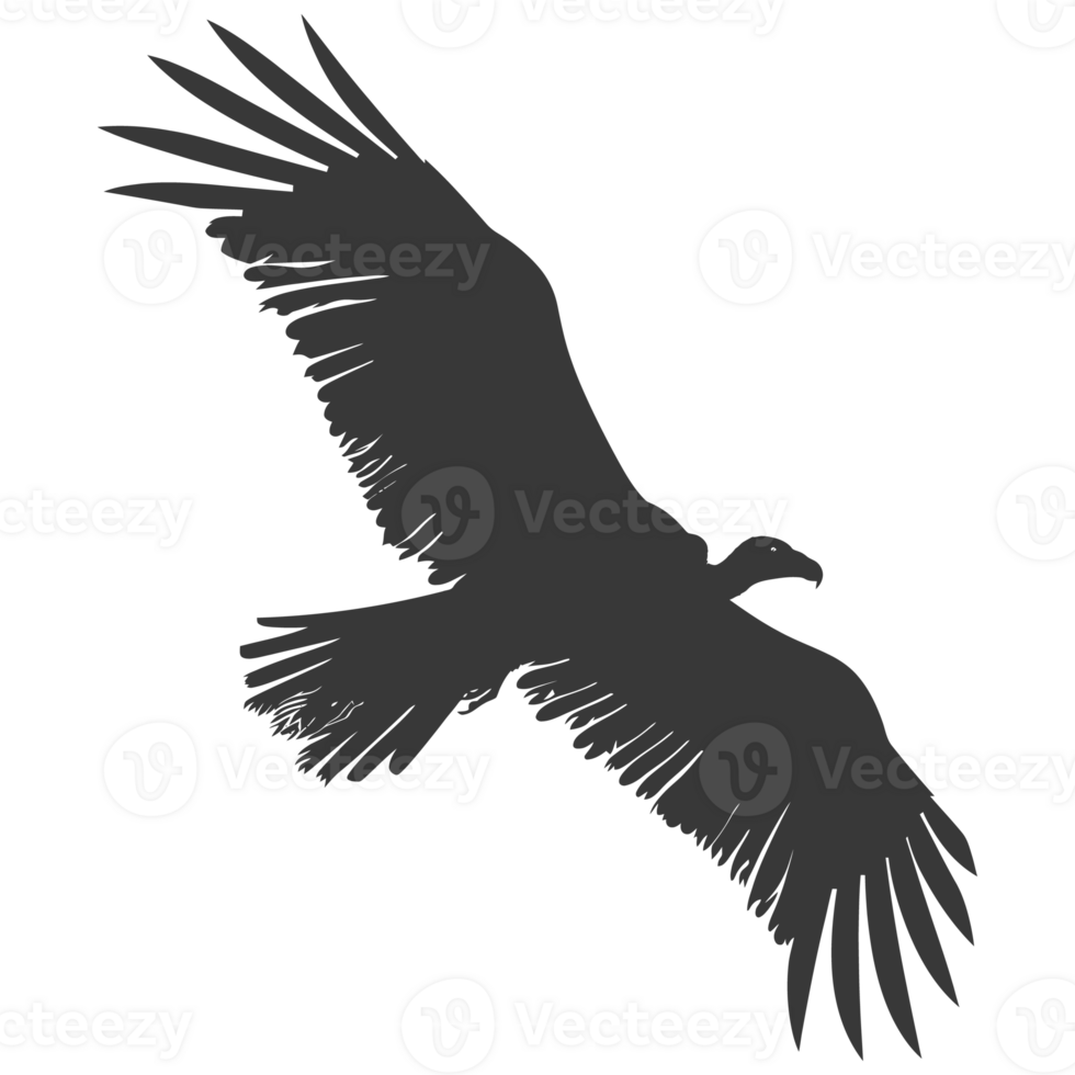 AI generated Silhouette vulture bird animal fly black color only png