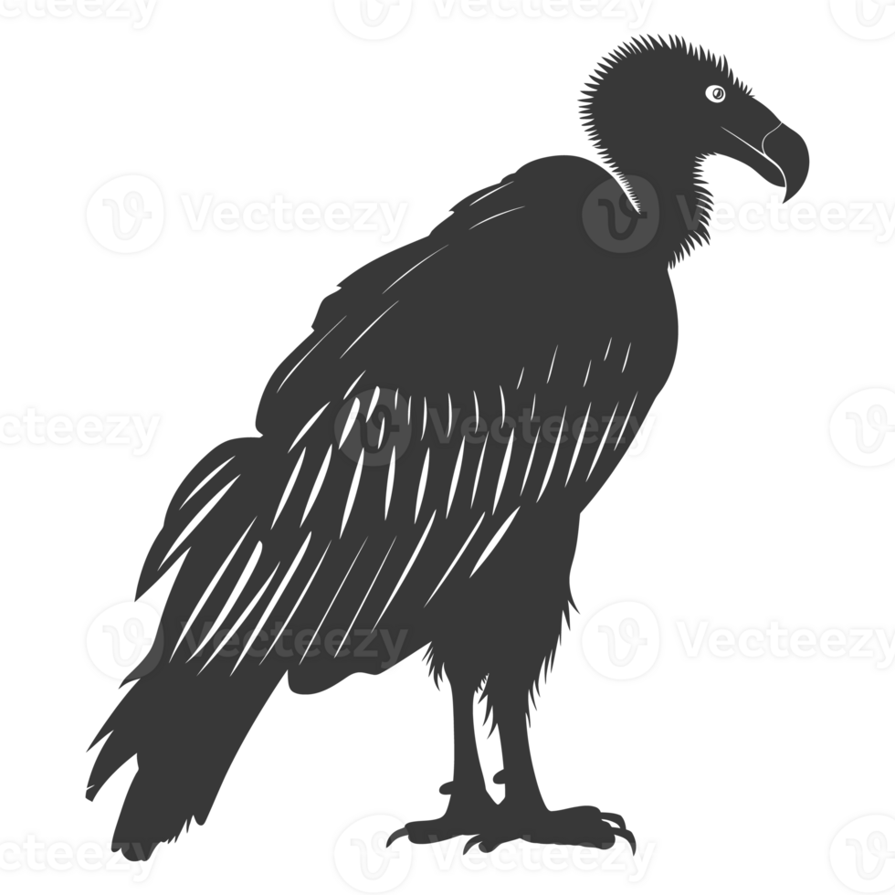 AI generated Silhouette vulture bird animal black color only png