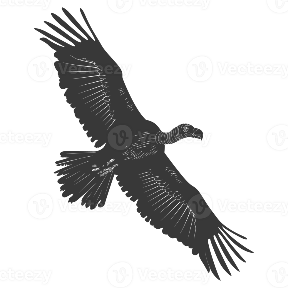 AI generated Silhouette vulture bird animal fly black color only png