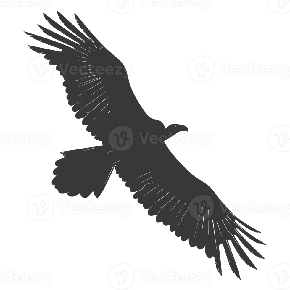 AI generated Silhouette vulture bird animal fly black color only png