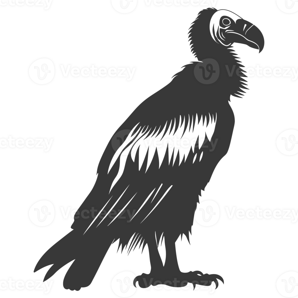 AI generated Silhouette vulture bird animal black color only png