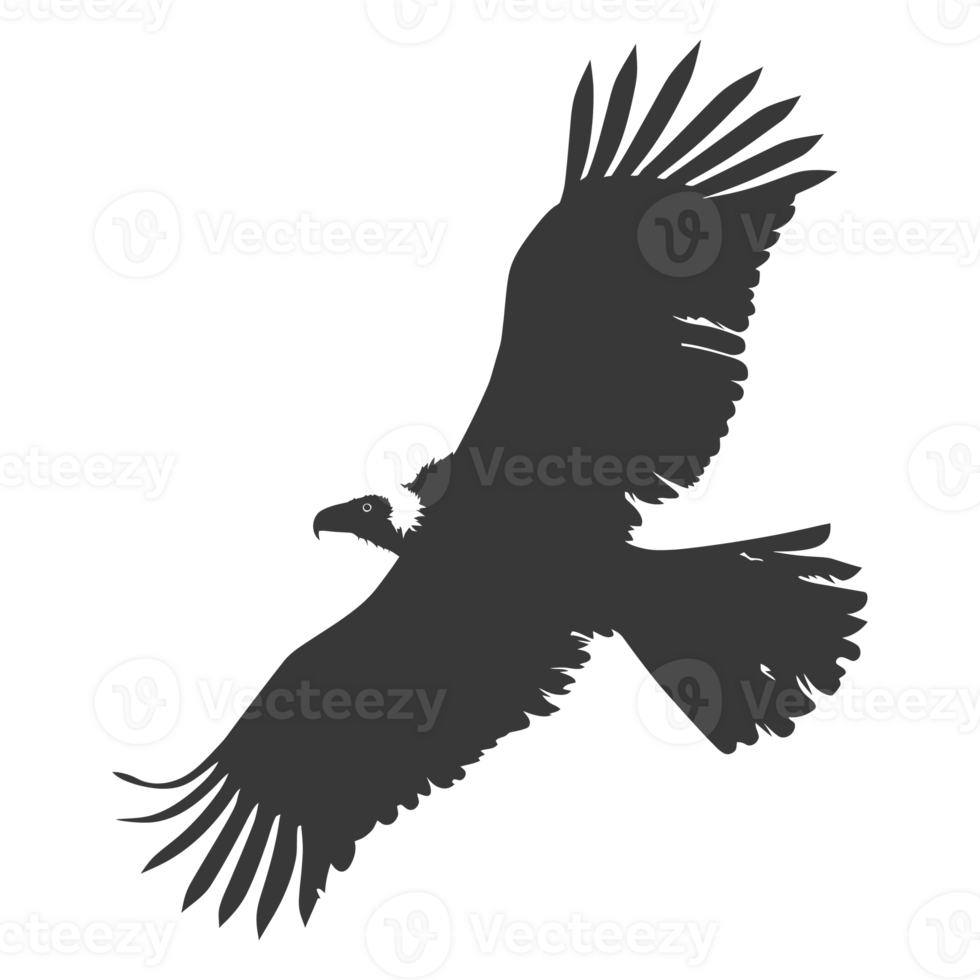 AI generated Silhouette vulture bird animal fly black color only png