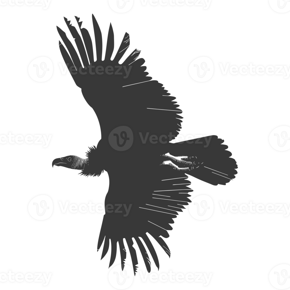 AI generated Silhouette vulture bird animal fly black color only png