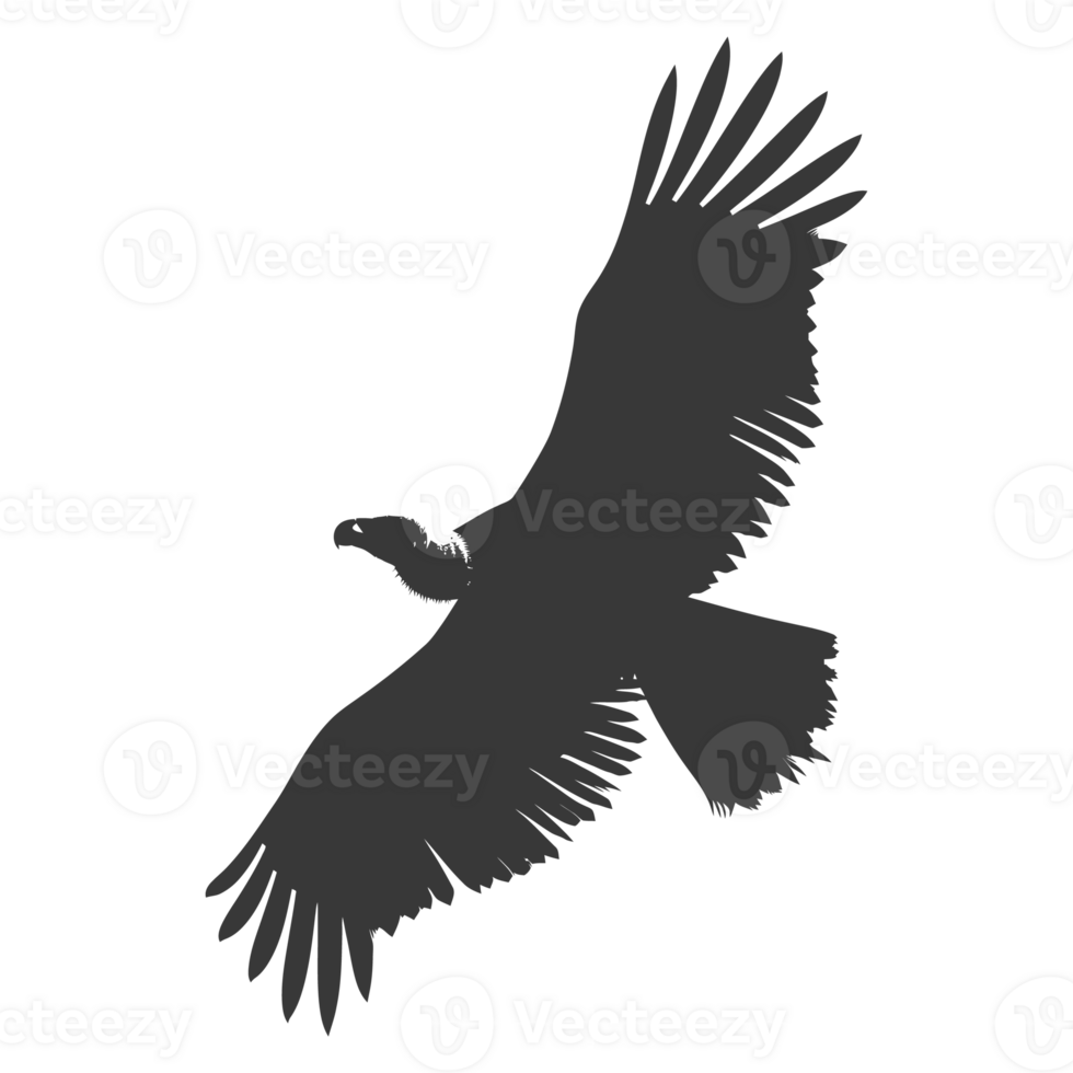 AI generated Silhouette vulture bird animal fly black color only png