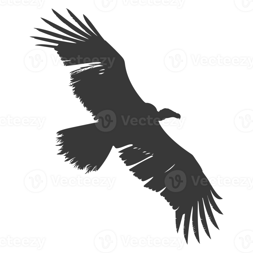 AI generated Silhouette vulture bird animal fly black color only png