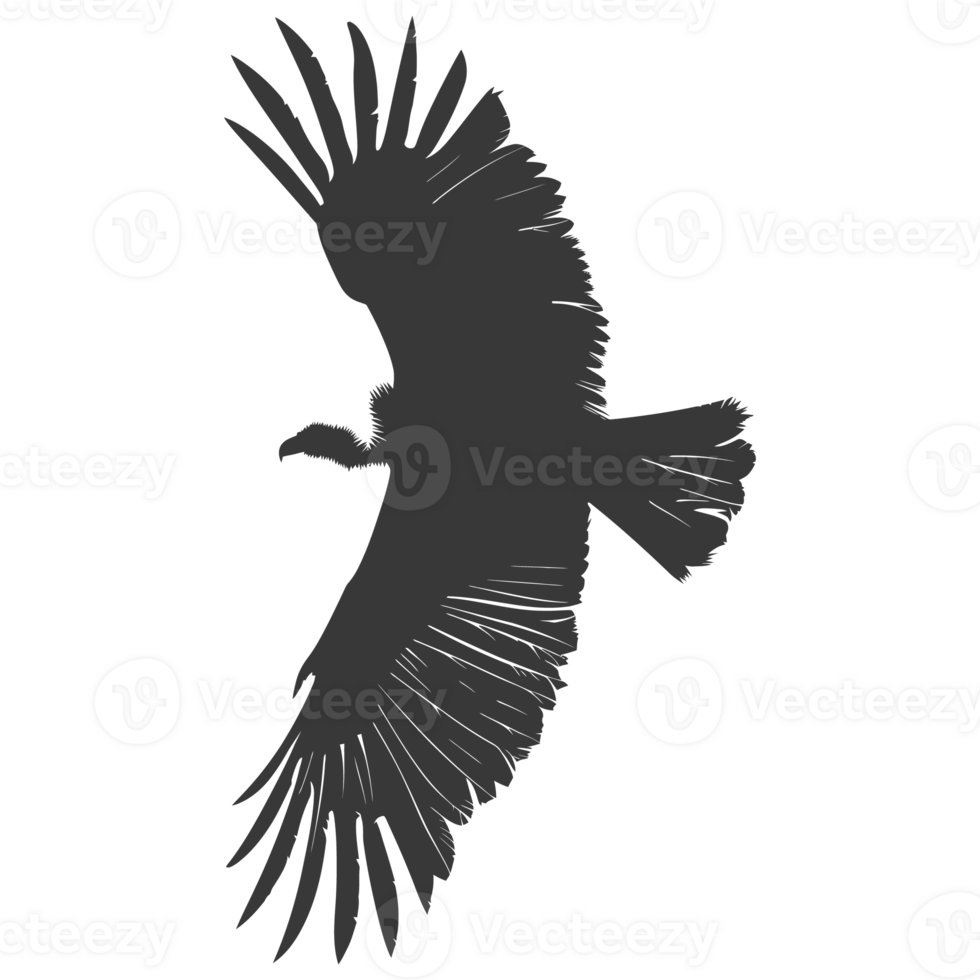 AI generated Silhouette vulture bird animal fly black color only png