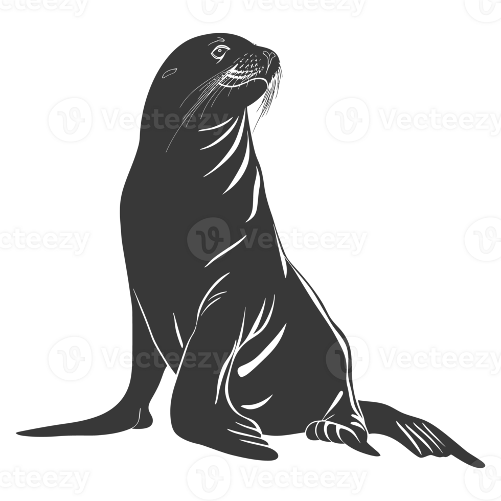 AI generated Silhouette Sea Lion Animal black color only full body png