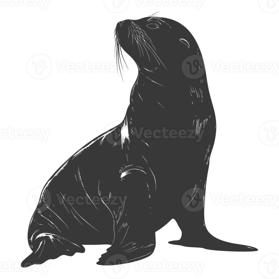 ai gegenereerd silhouet zee leeuw dier zwart kleur enkel en alleen vol lichaam png