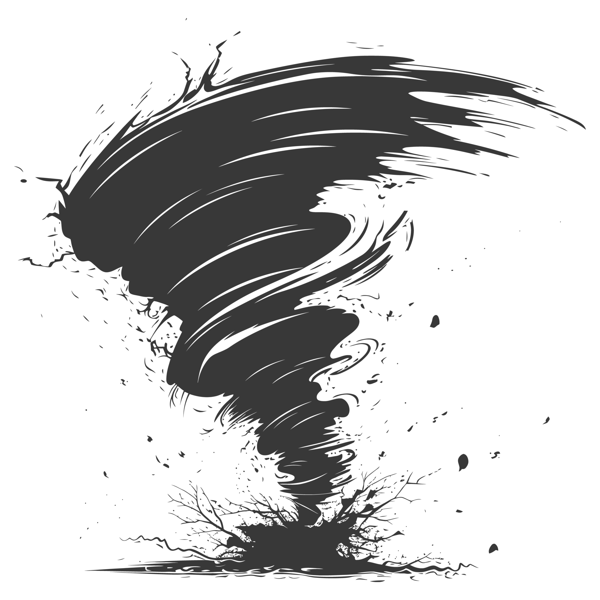 Bop House Tornado: The Whirlwind Of Drama! - vq4l1uy