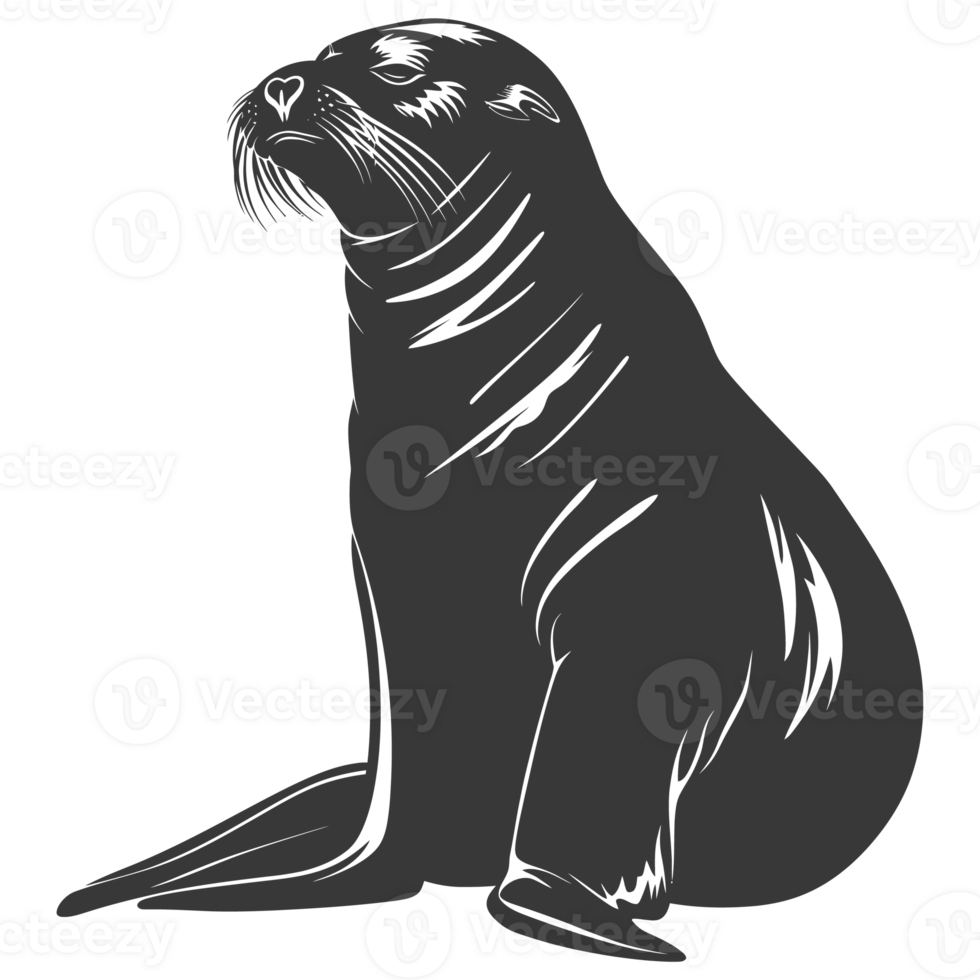 AI generated Silhouette Sea Lion Animal black color only full body png
