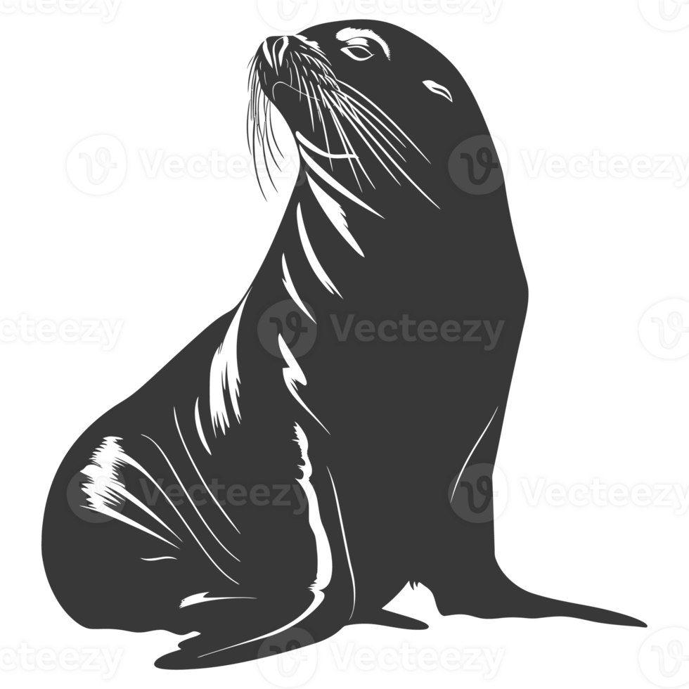 AI generated Silhouette Sea Lion Animal black color only full body png