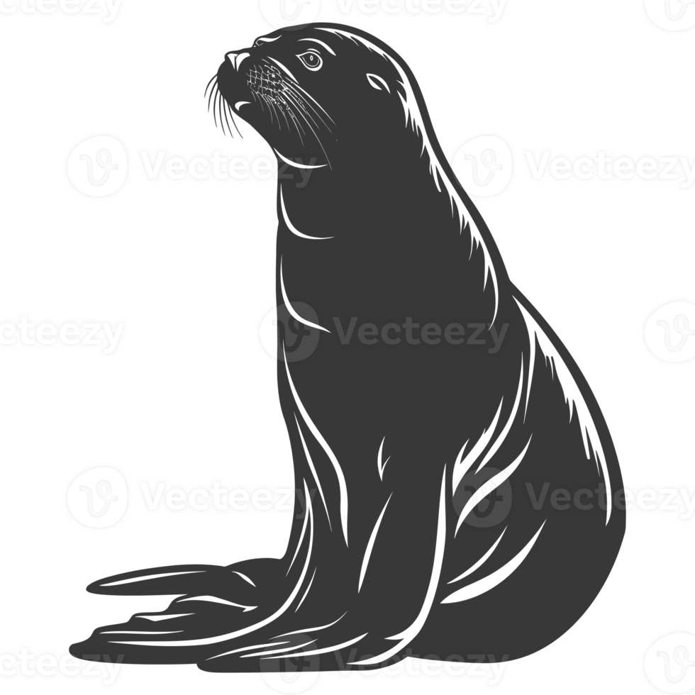 AI generated Silhouette Sea Lion Animal black color only full body png